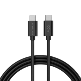 Eco Flow RAPID 65W Ga N Charger with 100W Cable - Charger