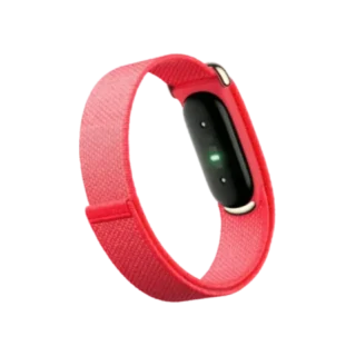 Google Fitbit Air Performance Loop Band - Berry