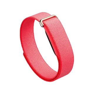 Google Fitbit Air Performance Loop Band - Band Berry