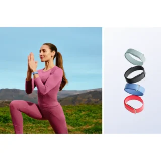 Google Fitbit Air Performance Loop Band