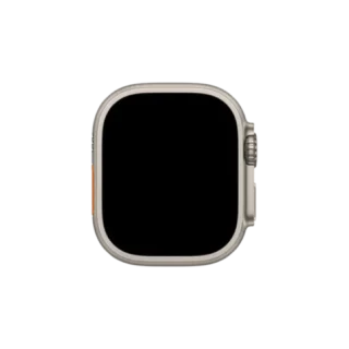 Apple Watch Ultra4Natural Titanium Case